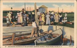 Unloading Coconuts at the Saturday Morning Market Postcard