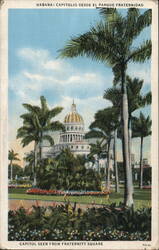 Capitol Seen From Fraternity Square Havana, Cuba Postcard Postcard Postcard