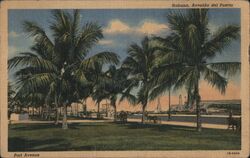 Habana, Avenida del Puerto, Port Avenue Postcard