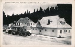 Drug Store Cocktail Lounge Barber Shop and Real Estate Offices Blue Jay Postcard