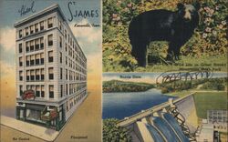 Hotel St. James Knoxville Tennessee Postcard