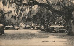 Zephyrhills Florida Campsite Postcard Postcard Postcard