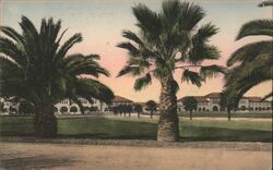 Stanford University Front View Postcard