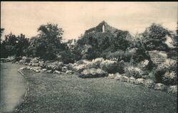 Grotto of Our Lady of Lourdes Postcard