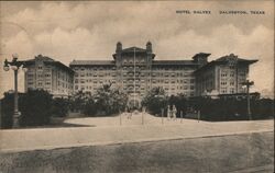 Hotel Galvez Galveston, TX Postcard Postcard Postcard