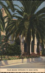 Palm Shaded Entrance to Main Hotel Postcard