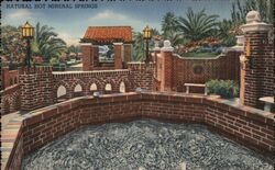 Natural Hot Mineral Springs Postcard