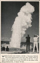 Old Faithful Geyser Yellowstone Chicago, IL Postcard Postcard Postcard