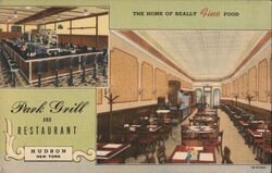 Park Grill and Restaurant Hudson New York Postcard