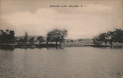 Spencer Lake Spencer NY Postcard