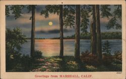 Greetings from Marshall Calif California Postcard Postcard Postcard