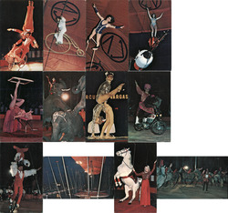 Set of 12: Circus Vargas Souvenir Postcard Set Postcard