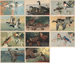 Set of 12 Bird Cards America's Wildlife Resources Birds Postcard Postcard Postcard