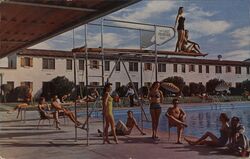 Hotel Last Frontier Swimming Pool Postcard