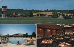 Colony 7 Motor Inn Postcard