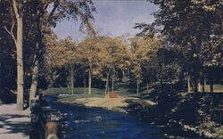 Island Geyser, Saratoga Springs, NY Postcard