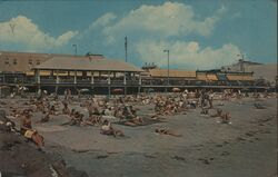 Ocean City, NJ Beach Postcard