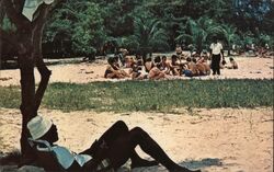 Accra Beach, Christ Church, Barbados Postcard