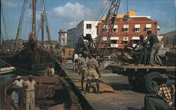 Loading Cane Sugar for Export, Bridgetown, Barbados West Indies Caribbean Islands M. A. Tucker Postcard Postcard Postcard