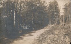 Arrows Drive, Arendtsville, PA Pennsylvania Postcard Postcard Postcard