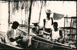 Martinique Men Knitting Fishing Nets Postcard