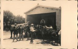 Mule Cart at Belvedere Farm, Agrigento, Italy Postcard