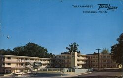 Tallahassee Travelodge Motel, Tallahassee, Florida Postcard