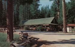 Dardanelles Resort, Sonora Pass, California Postcard