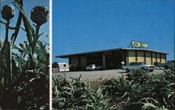 Pezzini Farm Artichoke Farm Stand Castroville CA Postcard