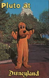 Pluto at Disneyland Postcard