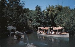 Disneyland Jungle Cruise Elephant Bathing Pool Postcard