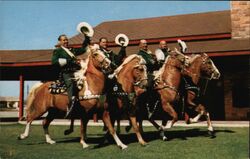 Long Beach Mounted Police on Palominos California Frank M. Thomas Postcard Postcard Postcard