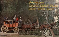 Knott's Berry Farm Stage Coach Postcard