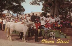 Blessing of the Animals, Olvera Street Los Angeles, CA Postcard Postcard Postcard