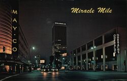 Wilshire Blvd Miracle Mile Los Angeles Night California Postcard Postcard Postcard