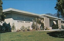 Mousley Museum of Natural History, Yucaipa CA California David Rubinoff Postcard Postcard Postcard