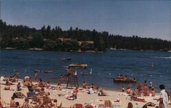 Lake Arrowhead Beach, California Postcard