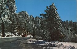 Winter Road to Lake Arrowhead, San Bernardino Mountains California Postcard Postcard Postcard