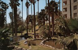 Arrowhead Springs Hotel Gardens and Ponds Postcard