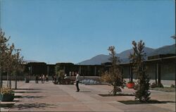 California State College at San Bernardino David Rubinoff Postcard Postcard Postcard