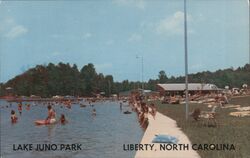 Lake Juno Park, Liberty, North Carolina Postcard Postcard Postcard