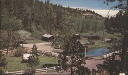 Campbell's Hot Springs Resort, Sierra Nevada Mts. Postcard