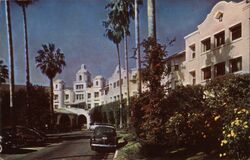 Beverly Hills Hotel, Palm-Lined Drive Postcard