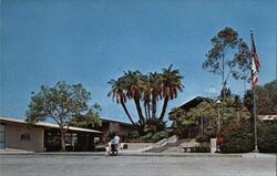 Temple City Library, Temple City, California Postcard