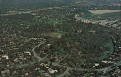 Los Angeles State and County Arboretum Postcard