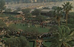 Santa Anita Park Paddock, Arcadia, California Postcard