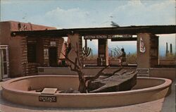 Arizona-Sonora Desert Museum Entrance Postcard