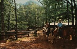 Horseback Riding, McCormick's Creek State Park, Spencer, IN Indiana Postcard Postcard Postcard