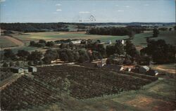 Meinhardt Vineyard, St. Bede's Hall St. Meinrad, IN Postcard Postcard Postcard