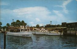 Jungle Queen Sightseeing Boat at Andrews Yacht Basin, Panama City, Florida Postcard